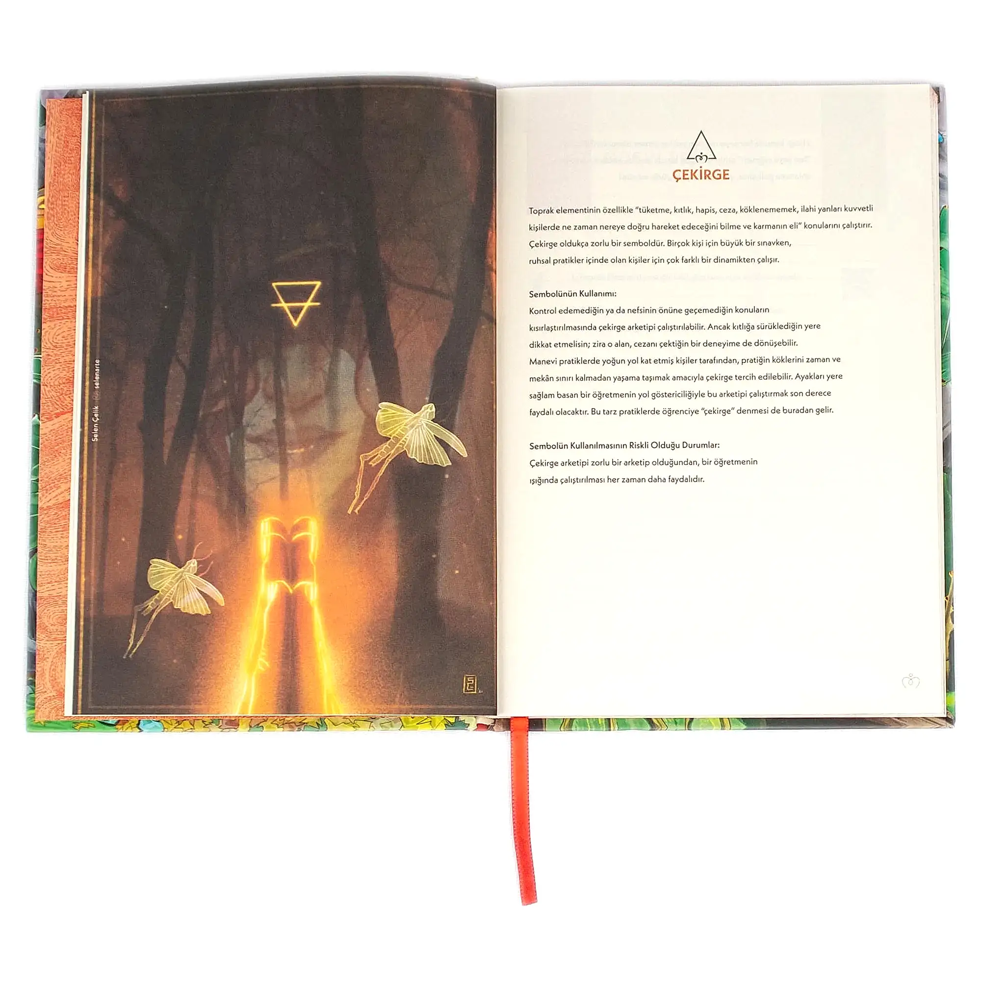 Element Defter 4'lü Set - Görsel 7