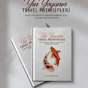 Yin Yoga'nın Temel Prensipleri